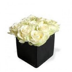 cubo  9 rosas blancas